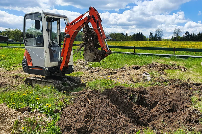 বাগান বাগান